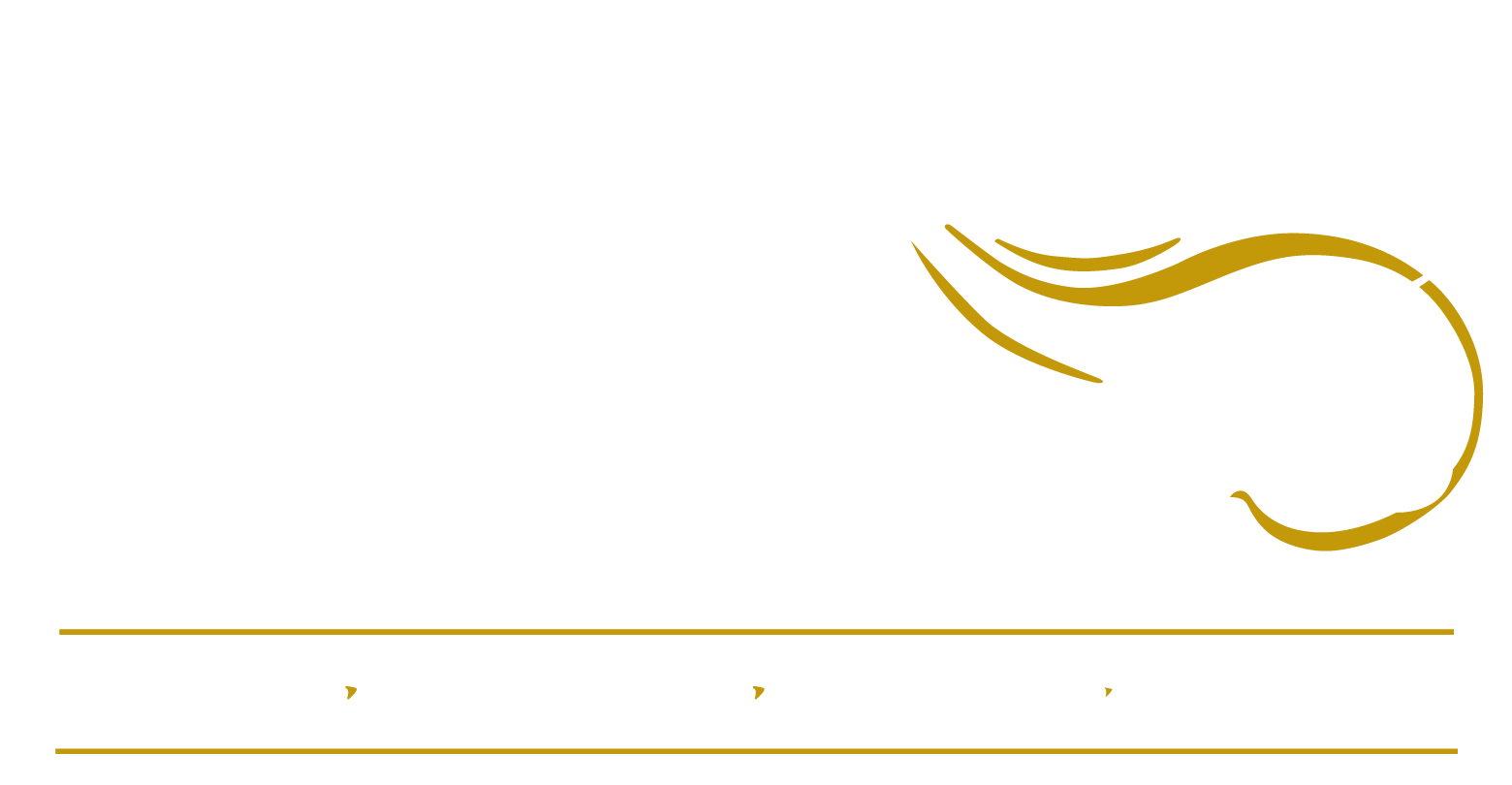 White-Wright Funeral Home - Turrentine-Jackson-Morrow Logo